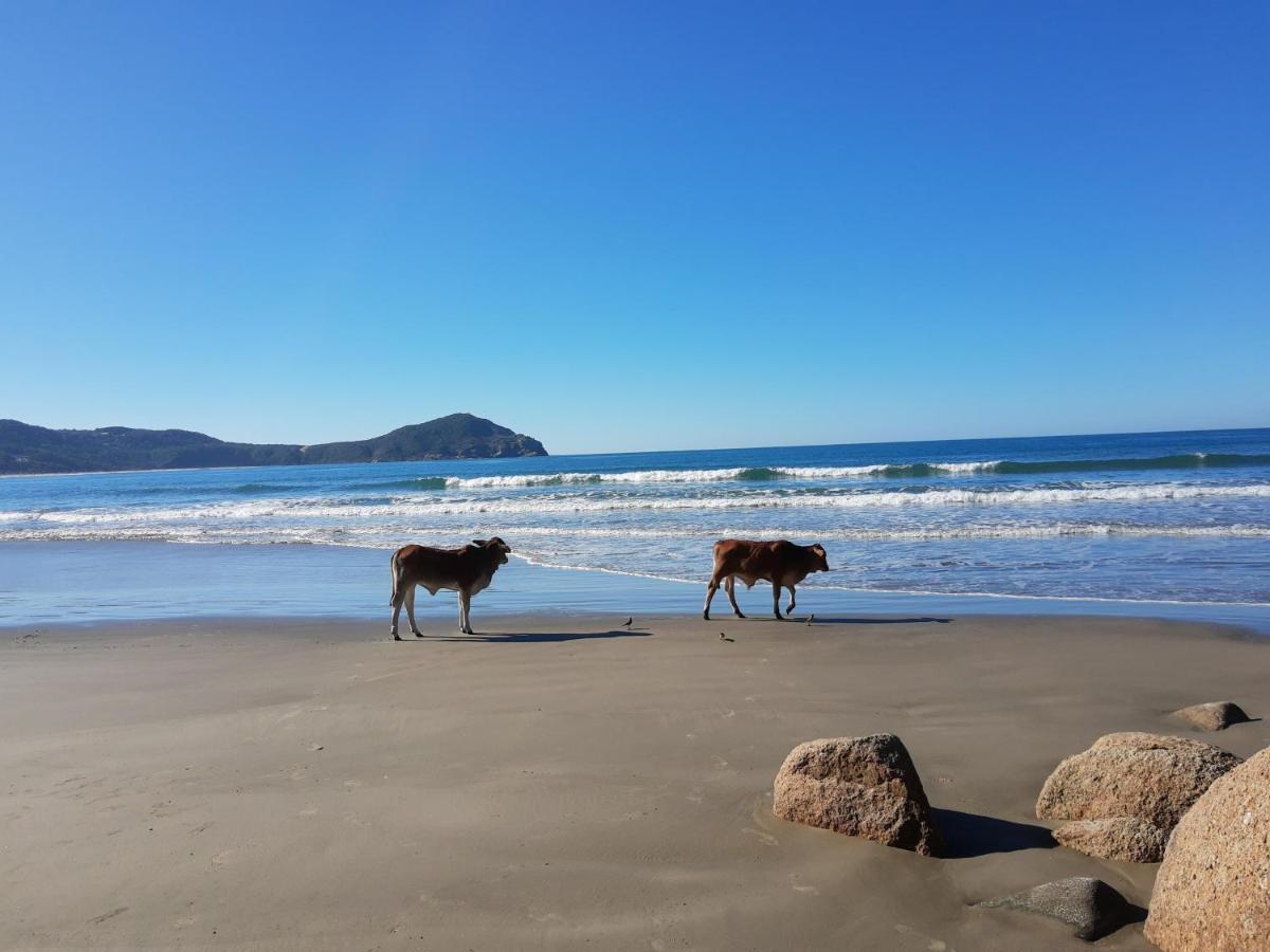 Pousada Gopak Praia do Rosa Extérieur photo